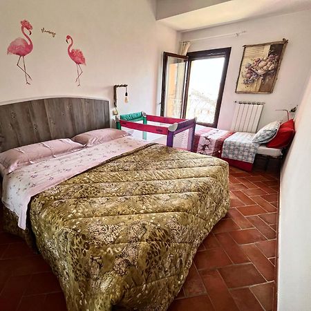 Pink Flamingo Accomodation 코마키오 외부 사진
