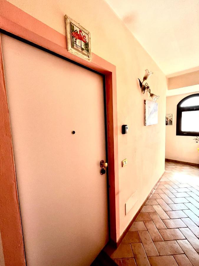 Pink Flamingo Accomodation 코마키오 외부 사진