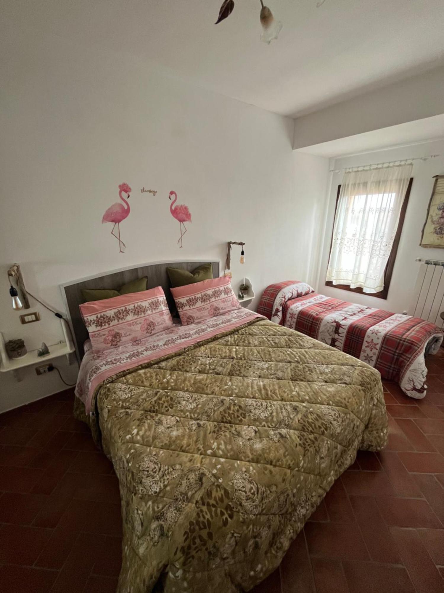 Pink Flamingo Accomodation 코마키오 외부 사진
