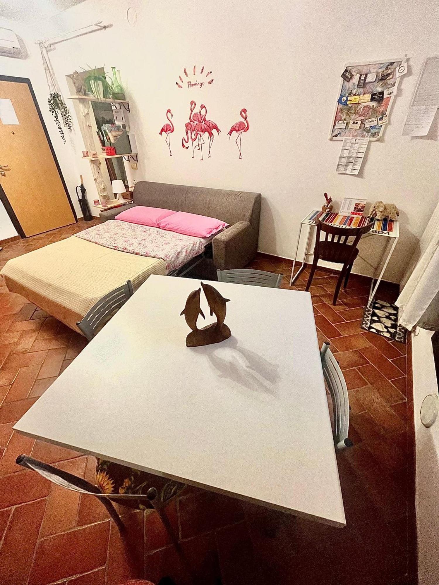 Pink Flamingo Accomodation 코마키오 외부 사진